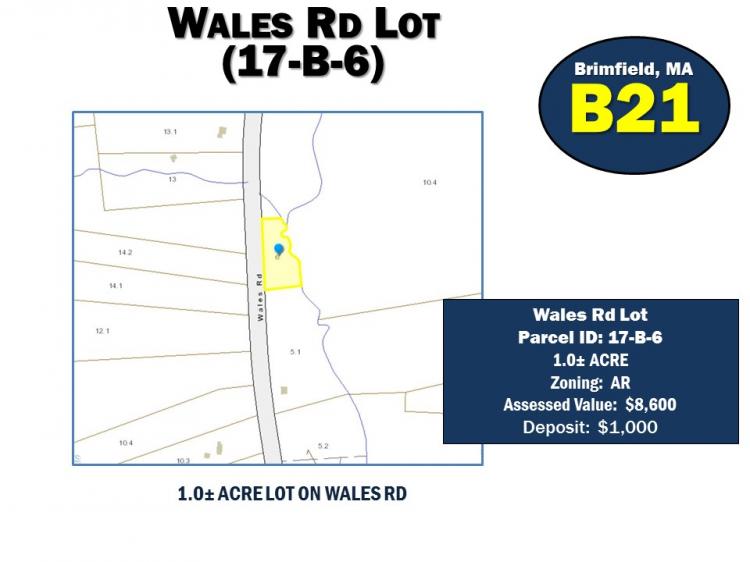 Wales Rd Lot (17-B-6), BRIMFIELD, MA