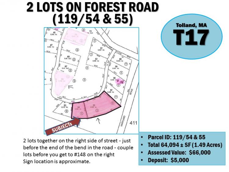 FOREST ROAD (119/54 & 119/55), TOLLAND, MA