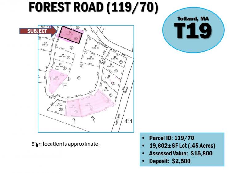 FOREST ROAD (119/70), TOLLAND, MA
