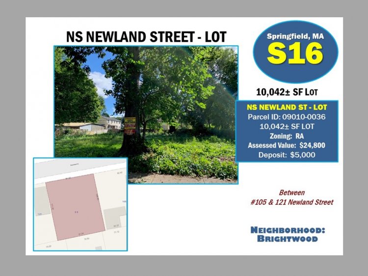 NS NEWLAND STREET (09010-0036), SPRINGFIELD, MA